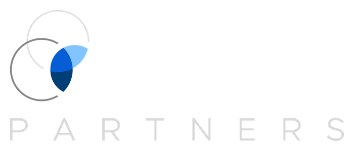 Ambit Partners